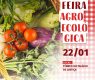 Primeira Feira Agroecológica de 2020 acontece nesta quarta-feira (22)